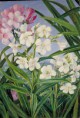 /album/leanderek-a-festovasznon-a-teljesseg-igenye-nelkul/marianne-north-the-oleander-jpg/